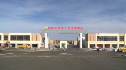 完成到位資金近70億元！1-10月奎屯市招商引資成效顯著，糧油倉儲(chǔ)服務(wù)產(chǎn)業(yè)引關(guān)注